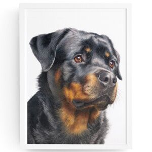 Rottweiler Watercolor Pet Portrait - Dog Wall Art Poster Unframed